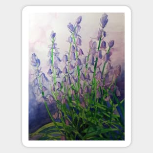 Bluebells watercolour painting Sticker